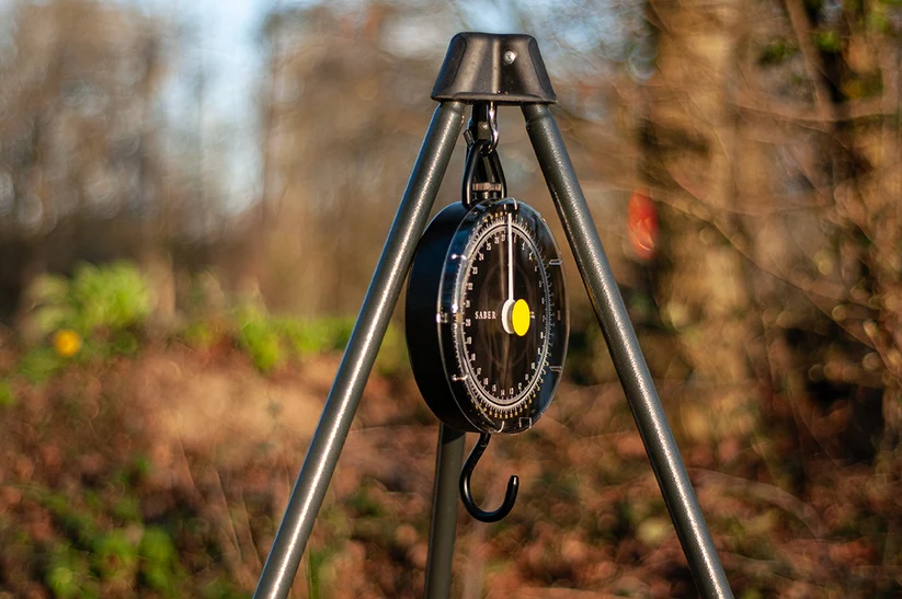 Saber Scales 60 lb - Image 2